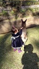 2-year-old cuddles with baby kangaroo
