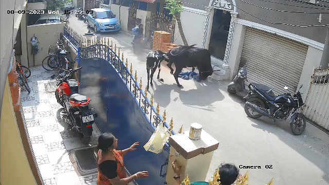 சென்னையில் பயங்கரம்; தெருவில் நடந்து சென்ற சிறுமியை தாய் கண் முன்னே முட்டி பந்தாடிய மாடு; அதிர வைக்கும் வீடியோ