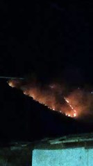 Siete tripulaciones de Bomberos Medellín combaten incendio de cobertura vegetal en Santo Domingo
