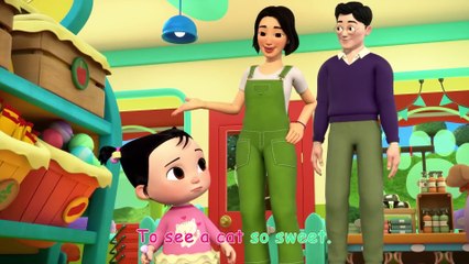 Cece Had a Little Cat  Nursery Rhymes Kids Songs