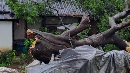 여기는 무주...전북도 태풍 경보 범위 '확대' / YTN