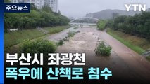 [제보영상] 부산 기장군 좌광천 불어 일대 산책로 침수 / YTN