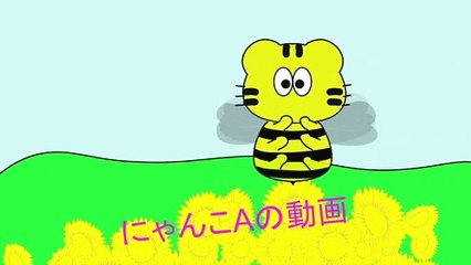 カブ栽培マスターたかしちゃん奇跡の出来事