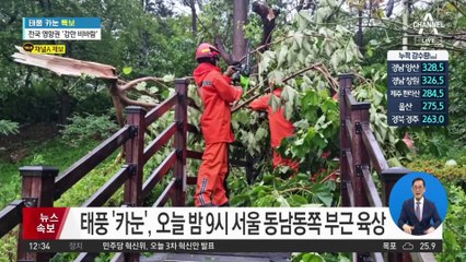 부산지역 태풍경보…강풍 피해 등 잇따라