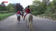 Paris : les balades à poney vont disparaître