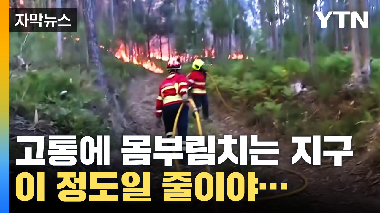 전 세계 기상이변에 '경악'...고통받는 지구촌 [자막뉴스]  / YTN