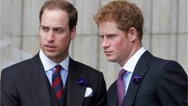 Prince William and Harry are both heading to this destination this year, but not together, here's why