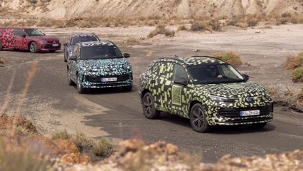 Volkswagen Passat & Tiguan Driving Video - Inspection and approval in Spain