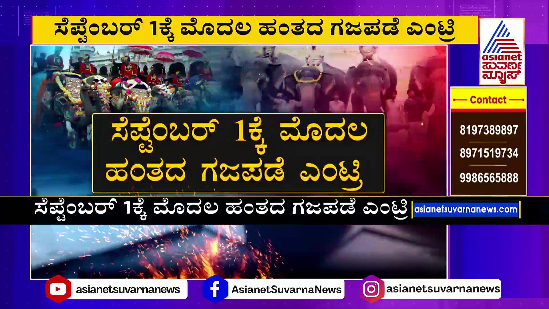 ವಿಶ್ವ ವಿಖ್ಯಾತ ಮೈಸೂರು ದಸರಾ ಸಂಭ್ರಮ ಶುರು: 2 ಹಂತಗಳಲ್ಲಿ ಆನೆಗಳ ಆಗಮನ !