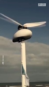 Innovation, Generating green energy by mimicking nature #shorts #viral #shortsvideo #video #innovationhub