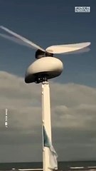 Innovation, Generating green energy by mimicking nature #shorts #viral #shortsvideo #video #innovationhub