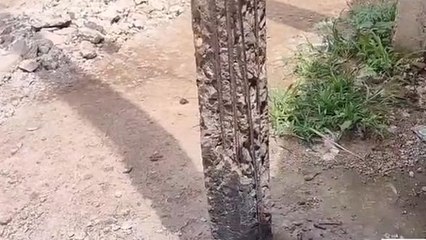 विदिशा: जर्जर बिजली के खंभे दे रहे हादसे को निमंत्रण, प्रशासन बना लापरवाह