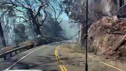 Скачать видео: Mindestens sechs Tote bei schweren Waldbränden auf Hawaii