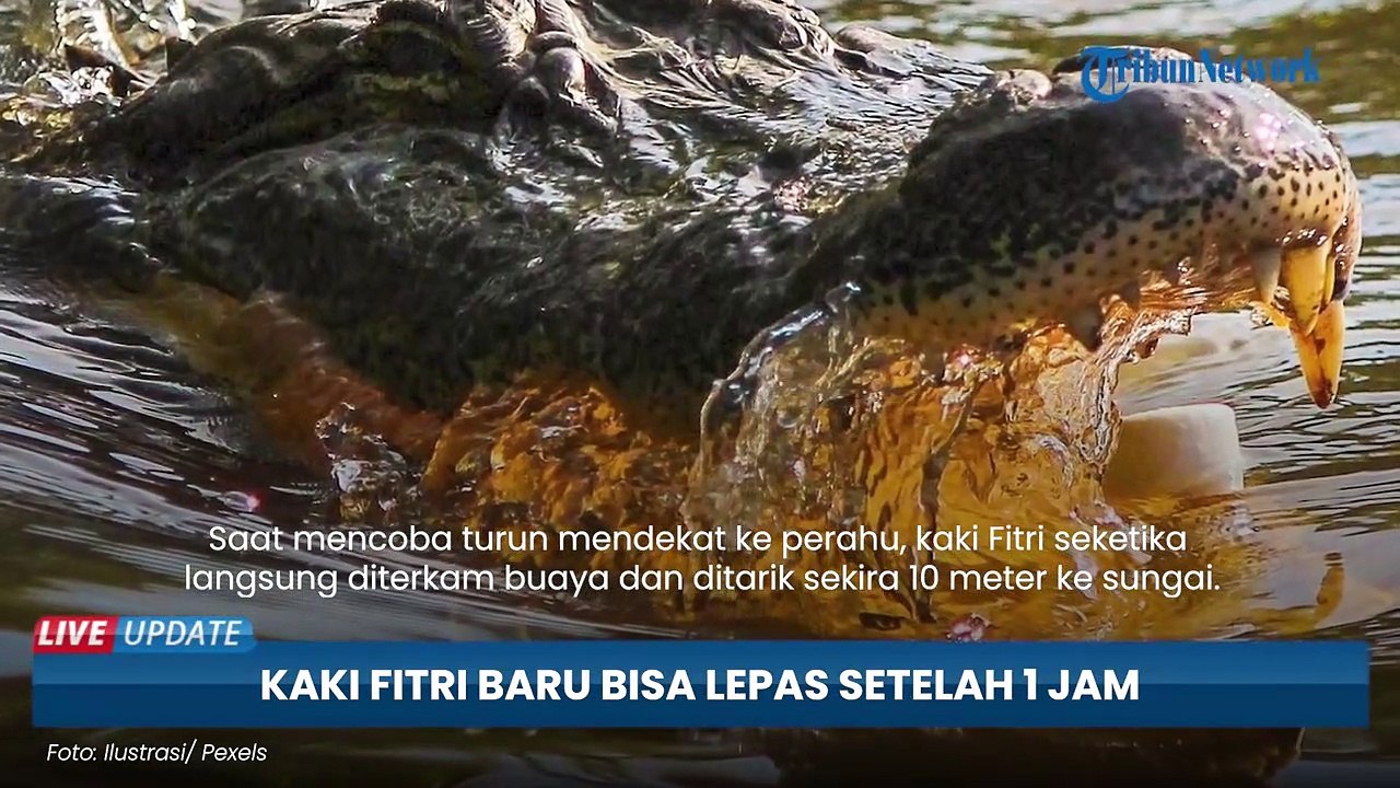 Kaki Fitri Bisa Lepas dari Terkaman Buaya di Bontang Setelah Suami dan Warga Berjibaku Selama 1 Jam