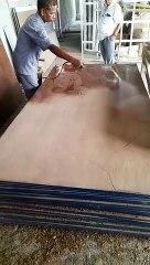 Wooden ply sheets pest control - Termites and wood borer. Powder from wood