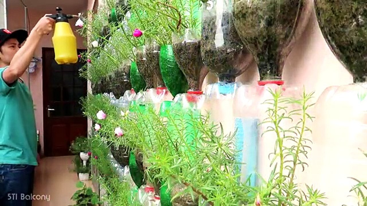 Amazing_Vertical_Garden_Using_Plastic_Bottles,_Portulaca_(Moss_Rose)_Garden_on_Wall(360p)