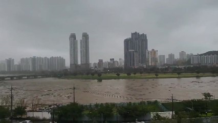 울산 태화강에 낮 12시 10분부터 홍수주의보 발령 / YTN