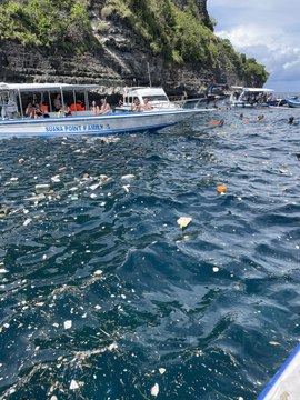 Tourist says ocean trash ruined Bali snorkeling trip