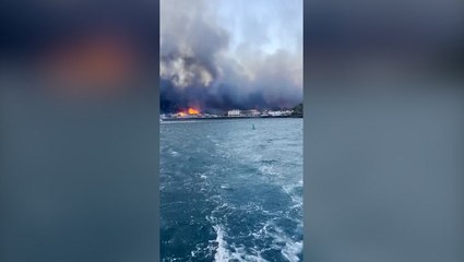 Maui locals jump into ocean to escape raging Hawaii wildfire