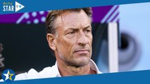 Pour bien gagner sa vie  Hervé Renard dévoile ce projet loin du foot avec sa femme, qu'il a pla