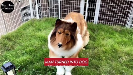 The man turned into Dog  | A Japanese man spends 2 Million Yen to become a dog