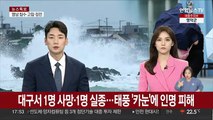 '태풍 강타' 대구서 인명 피해…1명 사망, 1명 실종