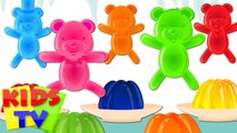 Jelly Bears Finger Family - Kindergarten Nursery Rhymes For Children