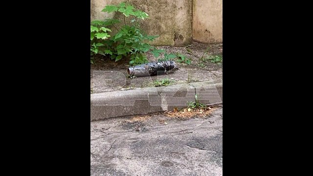 Сводка, Руслан Левиев, 10 августа 2023 г.