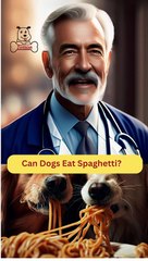 Can Dogs Eat Spaghetti | Dog Food Review | Zudaan