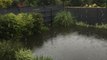 Edinburgh Headlines 10 August: Edinburgh residents plagued by sewage-flooded gardens in Easter Drylaw Drive 'terrified' of more rain