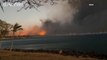 Al menos 36 muertos en los incendios de Hawái: los locales se lanzan al mar para escapar de las llamas