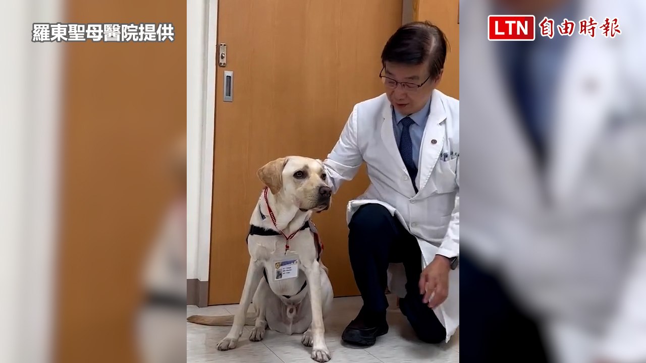療癒心靈好幫手 羅東聖母醫院治療犬「強哥」報到上班(羅東聖母醫院提供)