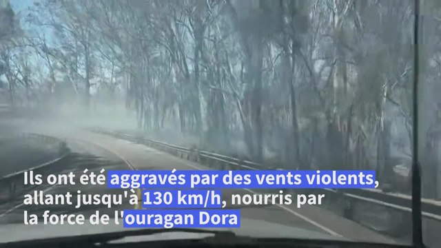 Au moins 36 morts dans l'archipel d'Hawaï, ravagé par de multiples incendies