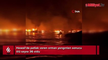 Hawaii'de bilanço ağırlaşıyor! Ölü sayısı 36'ya yükseldi