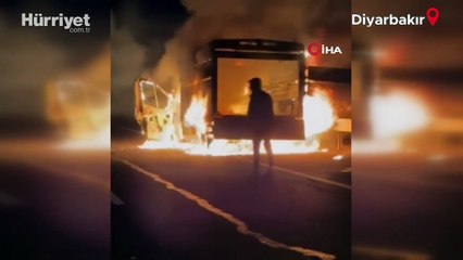 Diyarbakır’da ilginç görüntü: Kamyonet yanarken inekler keyfinden ödün vermedi