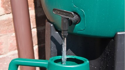 En Île-de-France, la région offre 20.000 euros aux particuliers pour installer des récupérateurs d’eau de pluie
