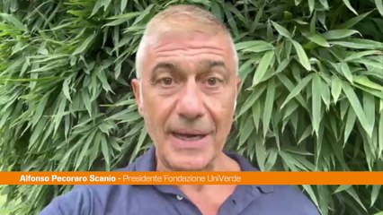 Pecoraro Scanio “Governo inerte su crisi del turismo per prezzi folli"