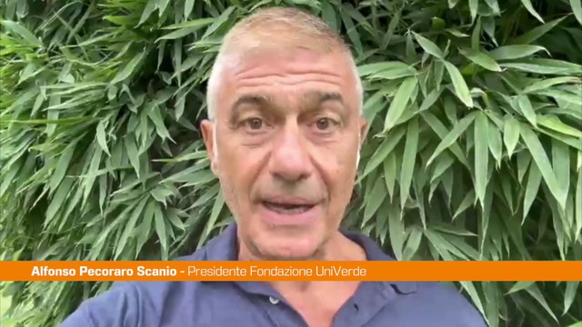 Pecoraro Scanio “Governo inerte su crisi del turismo per prezzi folli
