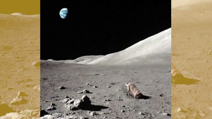 Vídeo hilário: Nasa finalmente revela por que há tantas crateras na Lua