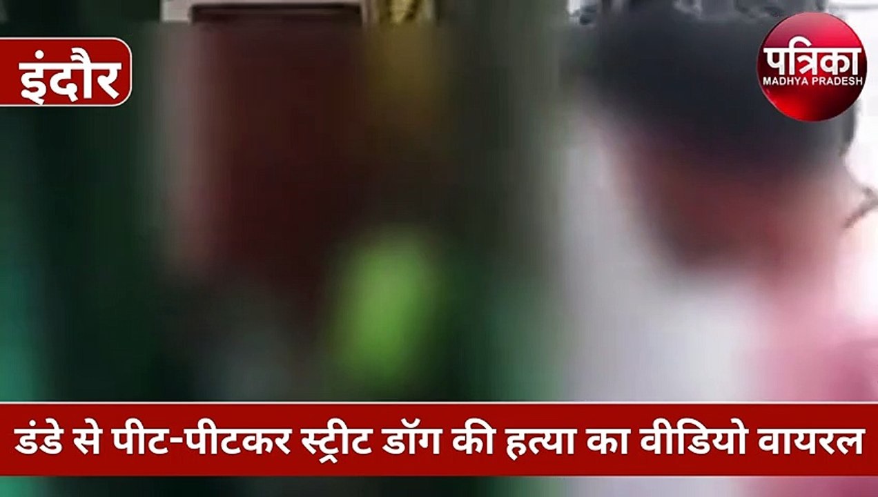 स्ट्रीट डॉग को डंडे से पीट-पीटकर मार डाला, VIDEO VIRAL, अब आरोपी का हुआ ये हाल