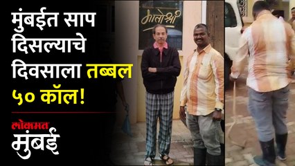 'मातोश्री'त साप...राऊतांच्याही बंगल्यात साप! मुंबईची आकडेवारी पाहा...