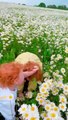 Two Siblings Explore a Chamomile Field