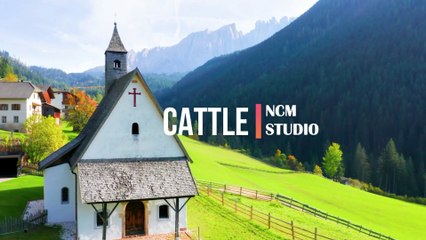 Cattle - Telecasted  Rock Music, Dark Music, Hope Music, Revenge Music