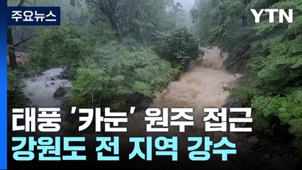 이 시각 강원도...영동 지방 비 피해 '심각' / YTN