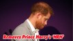 Royal Family Removes Prince Harry's 'His Royal Highness' Title