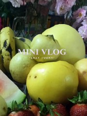 "Rise and Shine: A Productive Morning Vlog for a Purposeful Day"