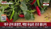 태풍 '카눈' 훑고 간 대구서 1명 사망·1명 실종…침수 피해도