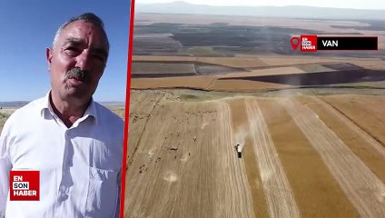 Vanlı çiftçiler buğday veriminden memnun