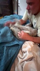 La gaieté matinale de Roxi le raton laveur