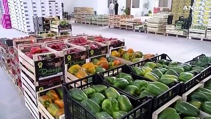 Descargar video: Caro-prezzi: estate nera per l'ortofrutta